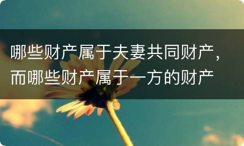 哪些财产属于夫妻共同财产，而哪些财产属于一方的财产