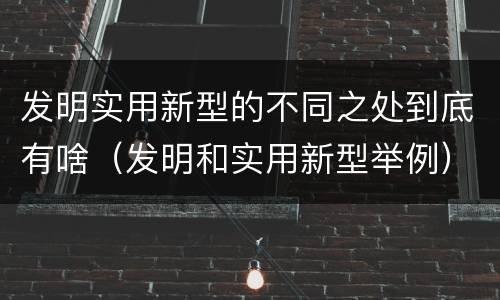 发明实用新型的不同之处到底有啥（发明和实用新型举例）