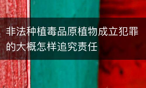非法种植毒品原植物成立犯罪的大概怎样追究责任
