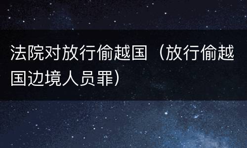法院对放行偷越国（放行偷越国边境人员罪）