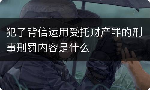 犯了背信运用受托财产罪的刑事刑罚内容是什么