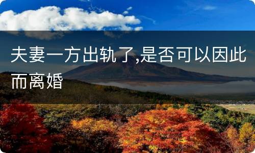 夫妻一方出轨了,是否可以因此而离婚