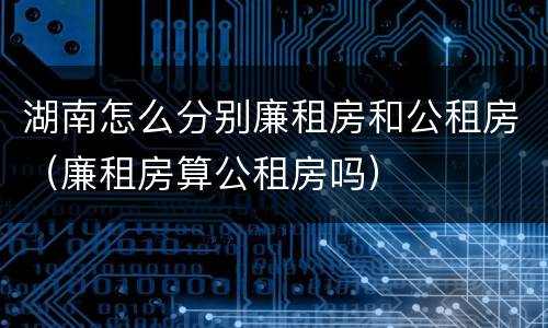 湖南怎么分别廉租房和公租房（廉租房算公租房吗）