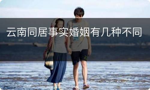 云南同居事实婚姻有几种不同