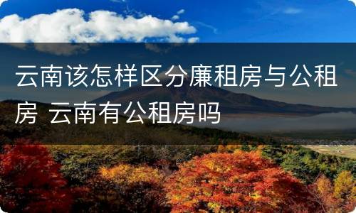 云南该怎样区分廉租房与公租房 云南有公租房吗