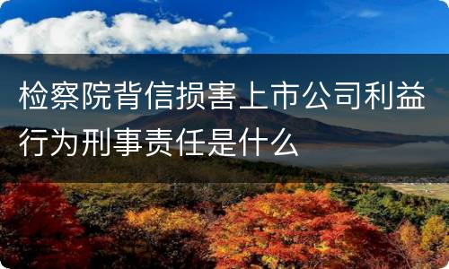 检察院背信损害上市公司利益行为刑事责任是什么