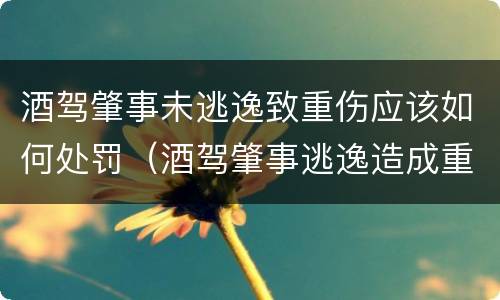 酒驾肇事未逃逸致重伤应该如何处罚（酒驾肇事逃逸造成重伤怎样罚）