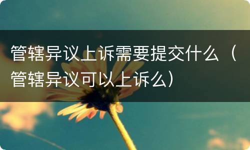管辖异议上诉需要提交什么（管辖异议可以上诉么）