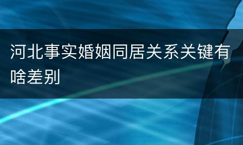 河北事实婚姻同居关系关键有啥差别