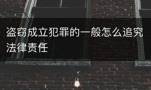 盗窃成立犯罪的一般怎么追究法律责任