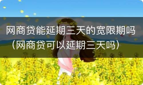 网商贷能延期三天的宽限期吗（网商贷可以延期三天吗）