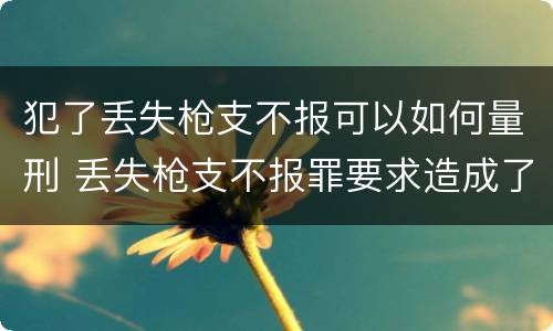 犯了丢失枪支不报可以如何量刑 丢失枪支不报罪要求造成了严重后果的才构成犯罪