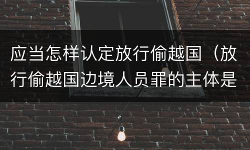 应当怎样认定放行偷越国（放行偷越国边境人员罪的主体是）