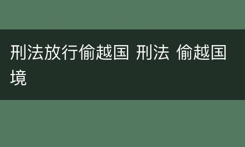 刑法放行偷越国 刑法 偷越国境