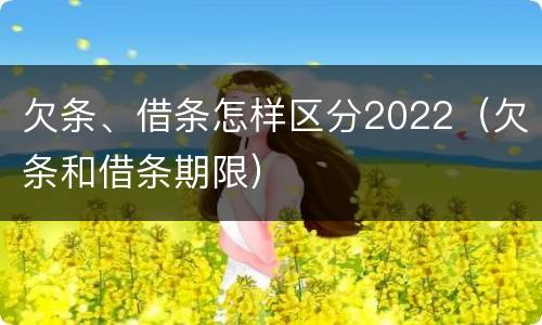 欠条、借条怎样区分2022（欠条和借条期限）