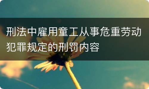 刑法中雇用童工从事危重劳动犯罪规定的刑罚内容