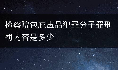 检察院包庇毒品犯罪分子罪刑罚内容是多少