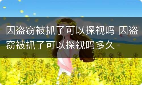 因盗窃被抓了可以探视吗 因盗窃被抓了可以探视吗多久