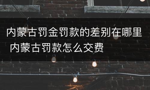 内蒙古罚金罚款的差别在哪里 内蒙古罚款怎么交费