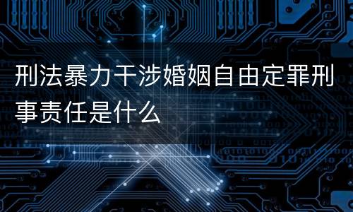 刑法暴力干涉婚姻自由定罪刑事责任是什么