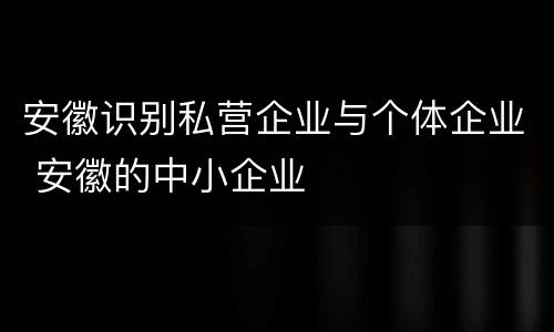 安徽识别私营企业与个体企业 安徽的中小企业
