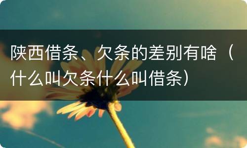陕西借条、欠条的差别有啥（什么叫欠条什么叫借条）
