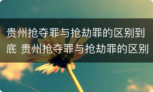 贵州抢夺罪与抢劫罪的区别到底 贵州抢夺罪与抢劫罪的区别到底有多大