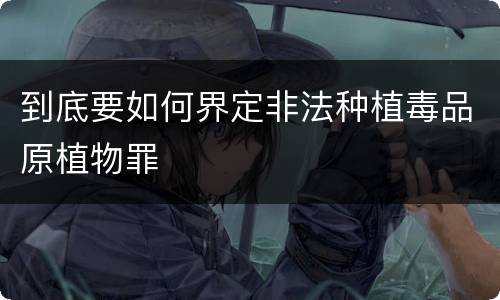 到底要如何界定非法种植毒品原植物罪
