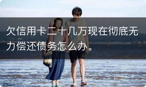 欠信用卡二十几万现在彻底无力偿还债务怎么办。