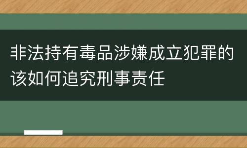 非法持有毒品涉嫌成立犯罪的该如何追究刑事责任