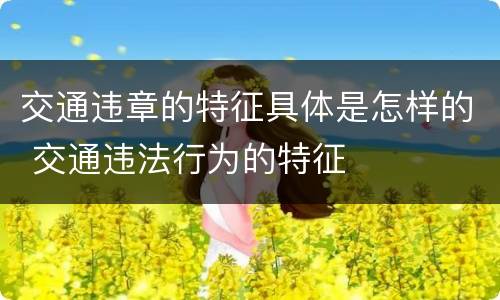 交通违章的特征具体是怎样的 交通违法行为的特征