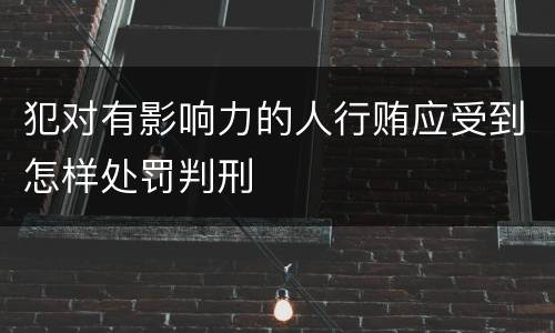 犯对有影响力的人行贿应受到怎样处罚判刑