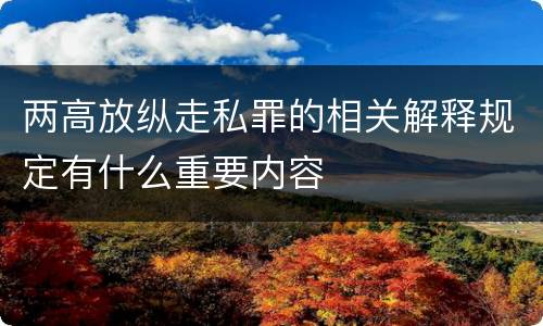两高放纵走私罪的相关解释规定有什么重要内容