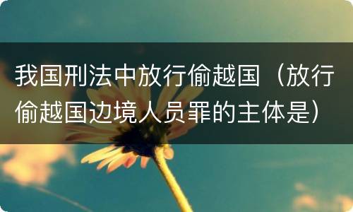 我国刑法中放行偷越国（放行偷越国边境人员罪的主体是）