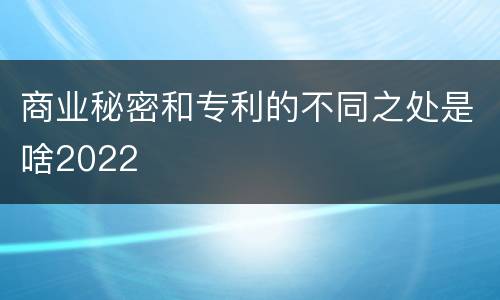商业秘密和专利的不同之处是啥2022