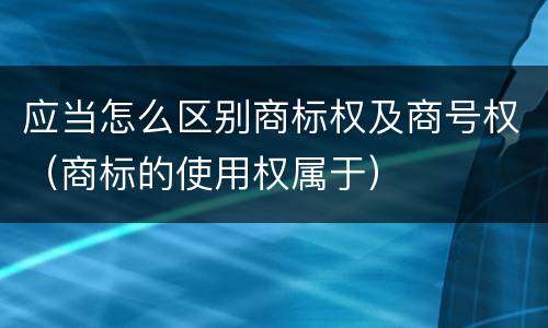 应当怎么区别商标权及商号权（商标的使用权属于）