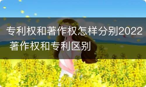 专利权和著作权怎样分别2022 著作权和专利区别