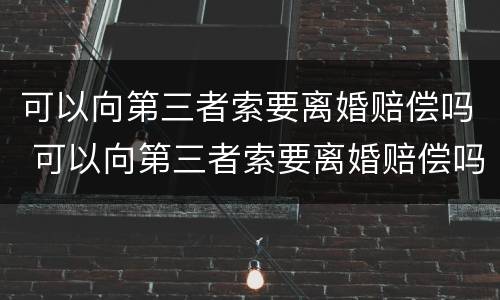 可以向第三者索要离婚赔偿吗 可以向第三者索要离婚赔偿吗