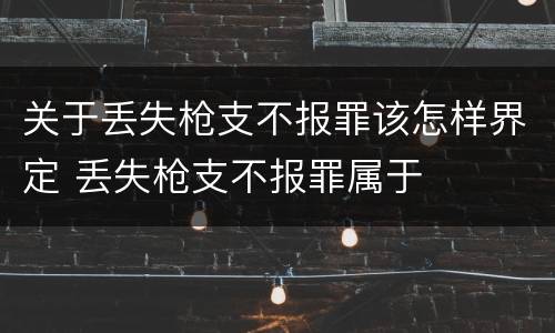 关于丢失枪支不报罪该怎样界定 丢失枪支不报罪属于