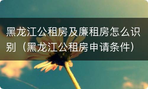 黑龙江公租房及廉租房怎么识别（黑龙江公租房申请条件）