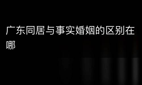 广东同居与事实婚姻的区别在哪