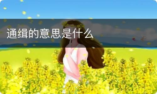 通缉的意思是什么