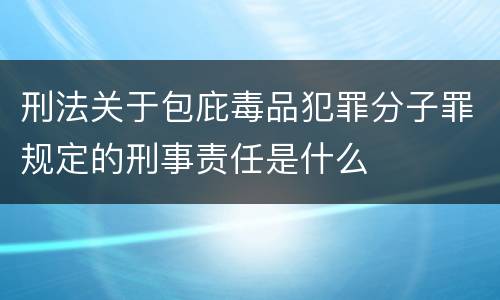 刑法关于包庇毒品犯罪分子罪规定的刑事责任是什么
