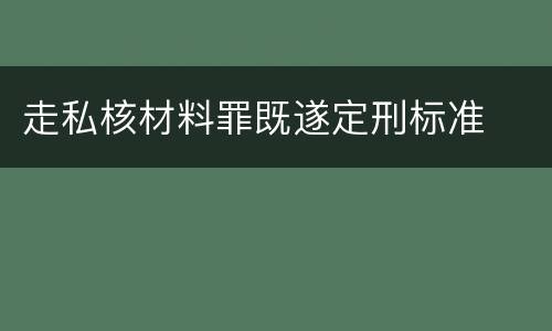 走私核材料罪既遂定刑标准