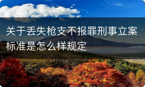 关于丢失枪支不报罪刑事立案标准是怎么样规定