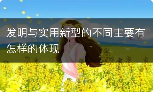 发明与实用新型的不同主要有怎样的体现