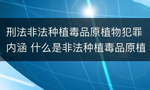 刑法非法种植毒品原植物犯罪内涵 什么是非法种植毒品原植物罪