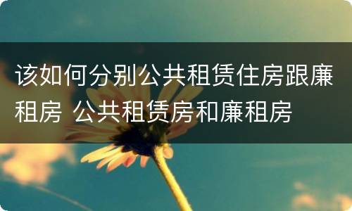 该如何分别公共租赁住房跟廉租房 公共租赁房和廉租房