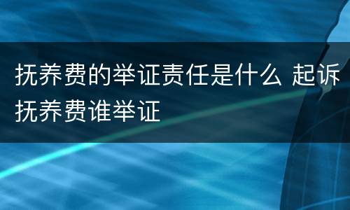 抚养费的举证责任是什么 起诉抚养费谁举证