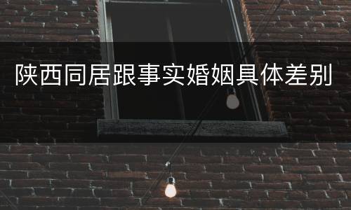 陕西同居跟事实婚姻具体差别